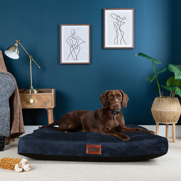 Clever paws dog bed sale